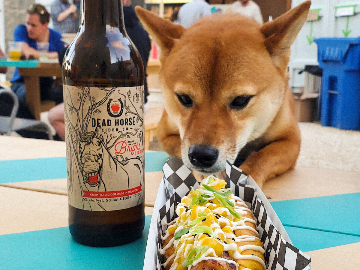 Who let the dogs out... for drinks - It's all about local for Lupe, who is drooling over KYU Grill at The Beer Can (photo: Jonnah Pusung @heyitslupethefiasco)