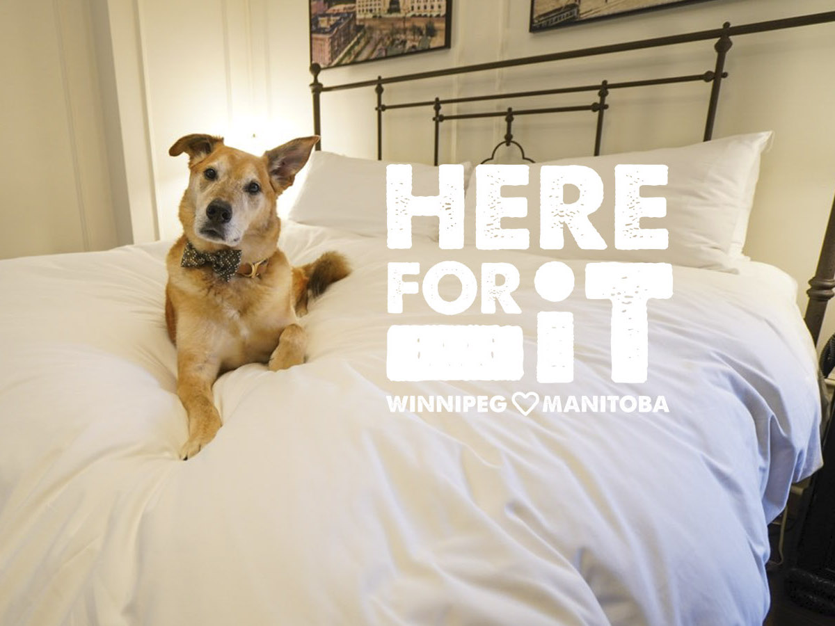 ​Fort Garry Hotel and Ten Spa is here for you and your dog, too - Bring a pal – the Fort Garry Hotel is a pet-friendly place to stay. (photo: Tyler Walsh)
