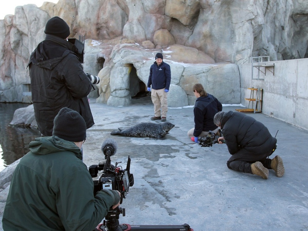 Good news for the 'Peg in 2022 - Behind-the-scenes filming CBC TV's Arctic Vets at Assiniboine Park Zoo
