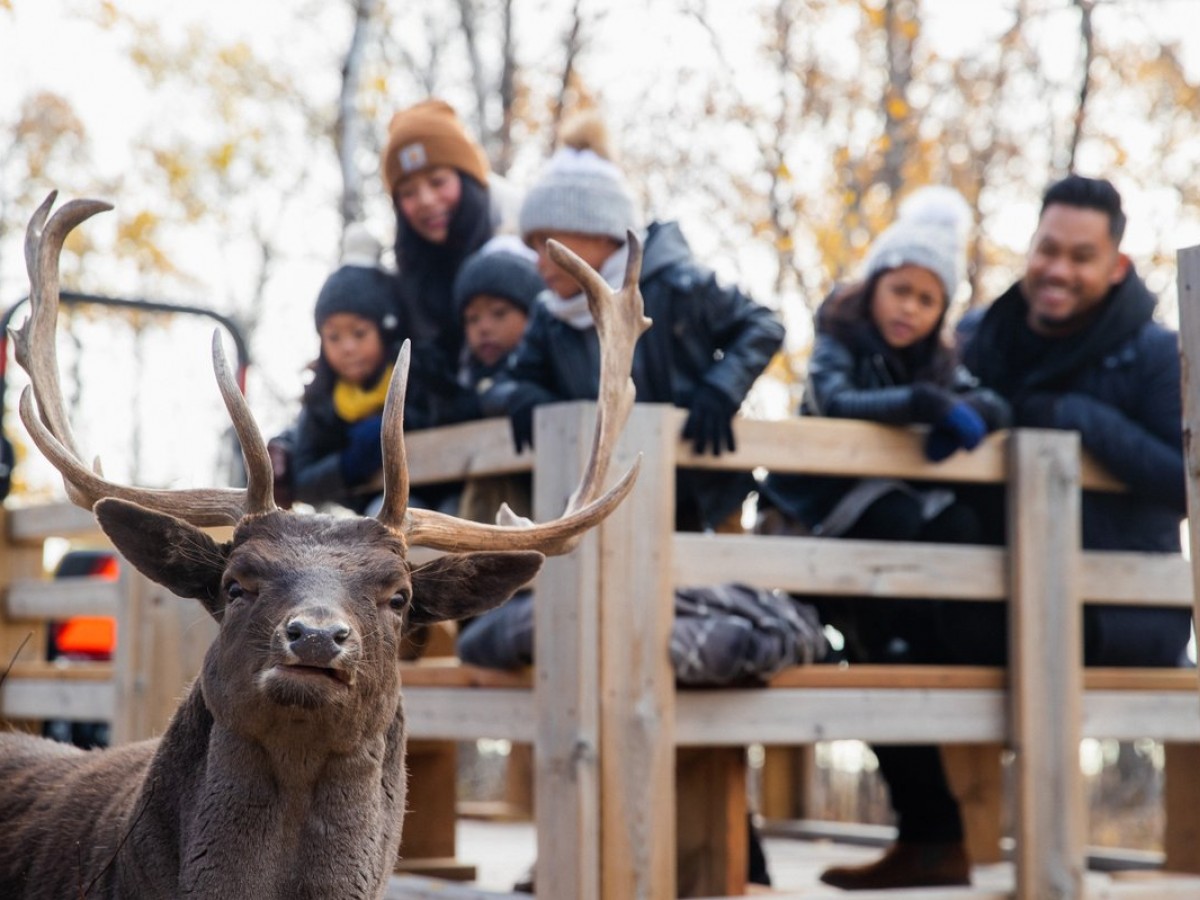 Family farm fun in and around Winnipeg for fall - Oh dear! What a time you'll have at Deer Meadow Farms (photo by Mike Peters)
