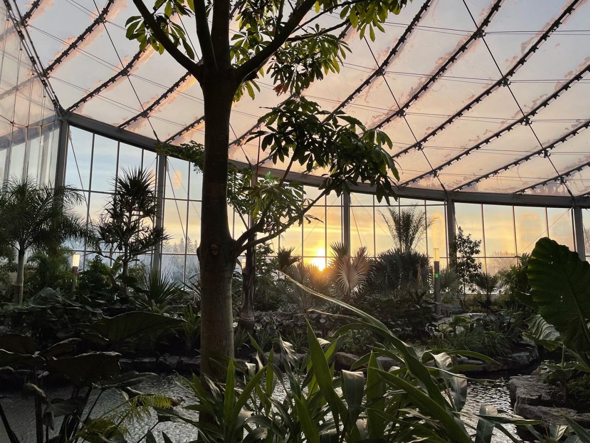 You’ll never want to leave The Leaf, our new world-class attraction - Sunrise in the Tropical Biome (Mike Green/Tourism Winnipeg)