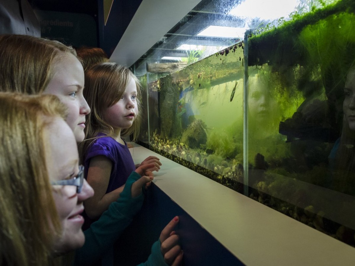 Manitoba Museum’s March Break programming more than holds water - Learn all about water this Spring Break at Manitoba Museum (Manitoba Museum)
