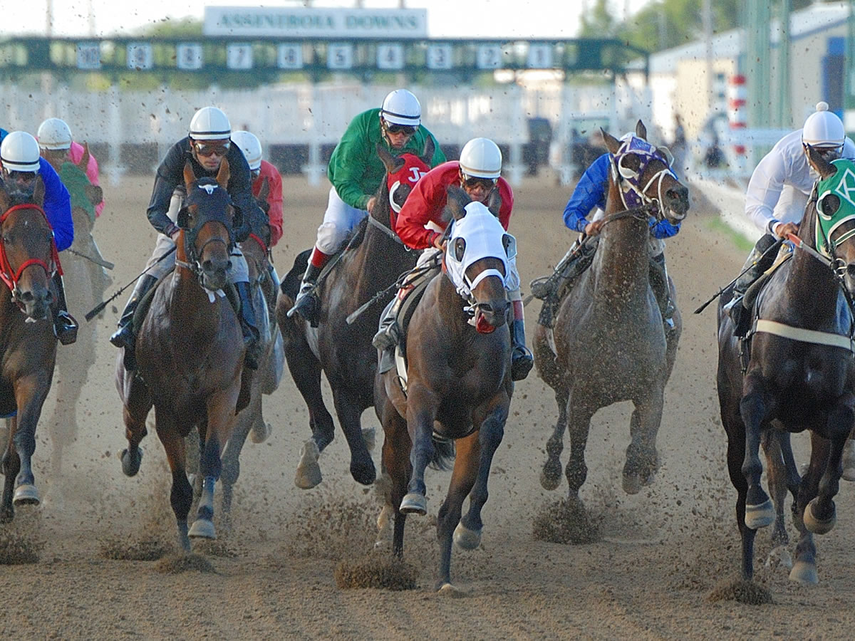 Assiniboia Downs is an action-packed, delicious day at the races - Assiniboia Downs - credit Oliver Dolinsky