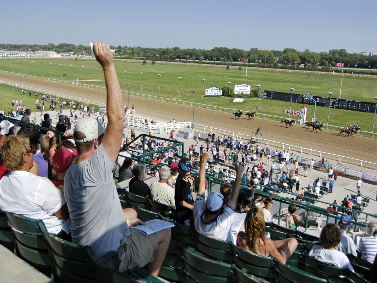 What's on in Winnipeg during the Canada Summer Games: Week 2 - Family Fun Day happens at Assiniboia Downs on August 7 (Rob Bye)
