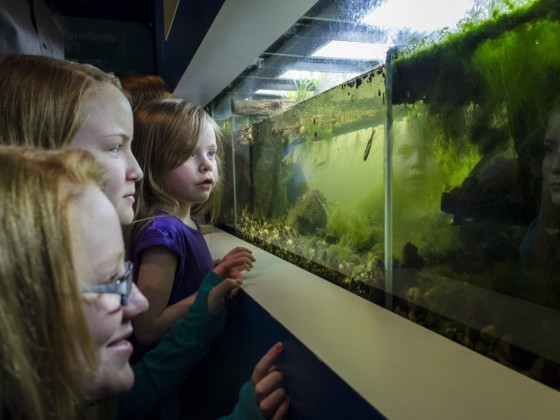 Manitoba Museum’s March Break programming more than holds water