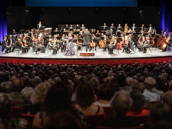 Strike a chord with the Winnipeg Symphony Orchestra