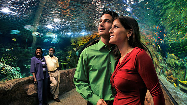 Club Regent Aquarium cropped for WP