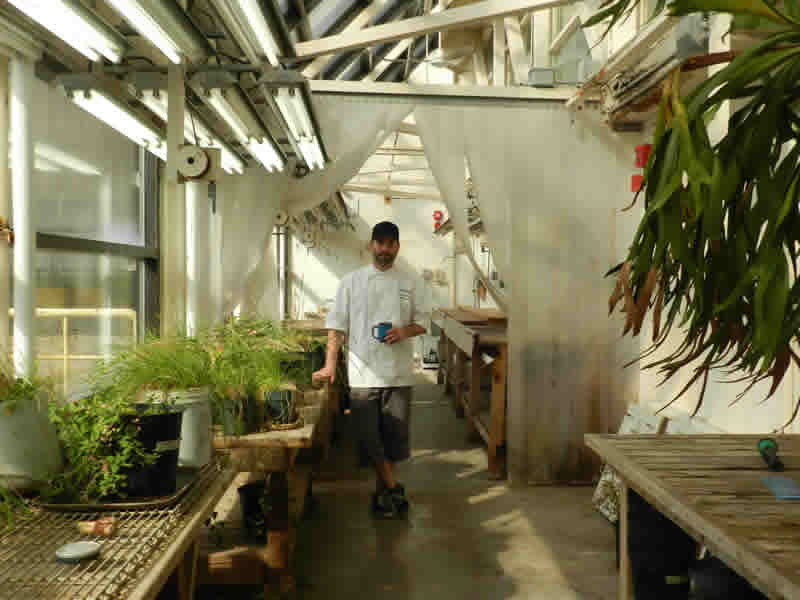 Ben Kramer amidst his latest project, a greenhouse at University of Winnipeg.