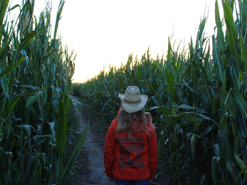 MB 150 corn maze takes you on an adventure at Deer Meadow Farms