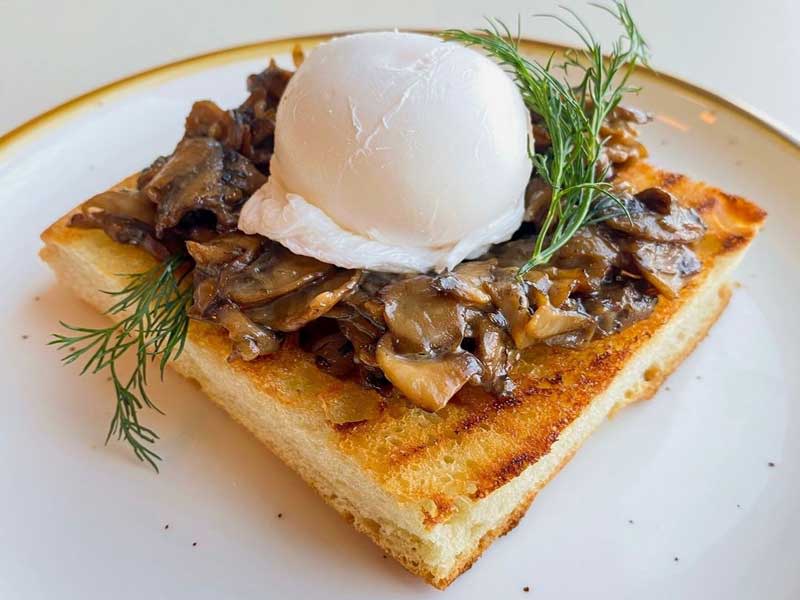 © Modern Electric Lunch - Mushrooms and Toast. Mushrooms cooked in a garlic wine sauce placed on our house-made Foccacia bread with a medium poached egg and fresh herbs